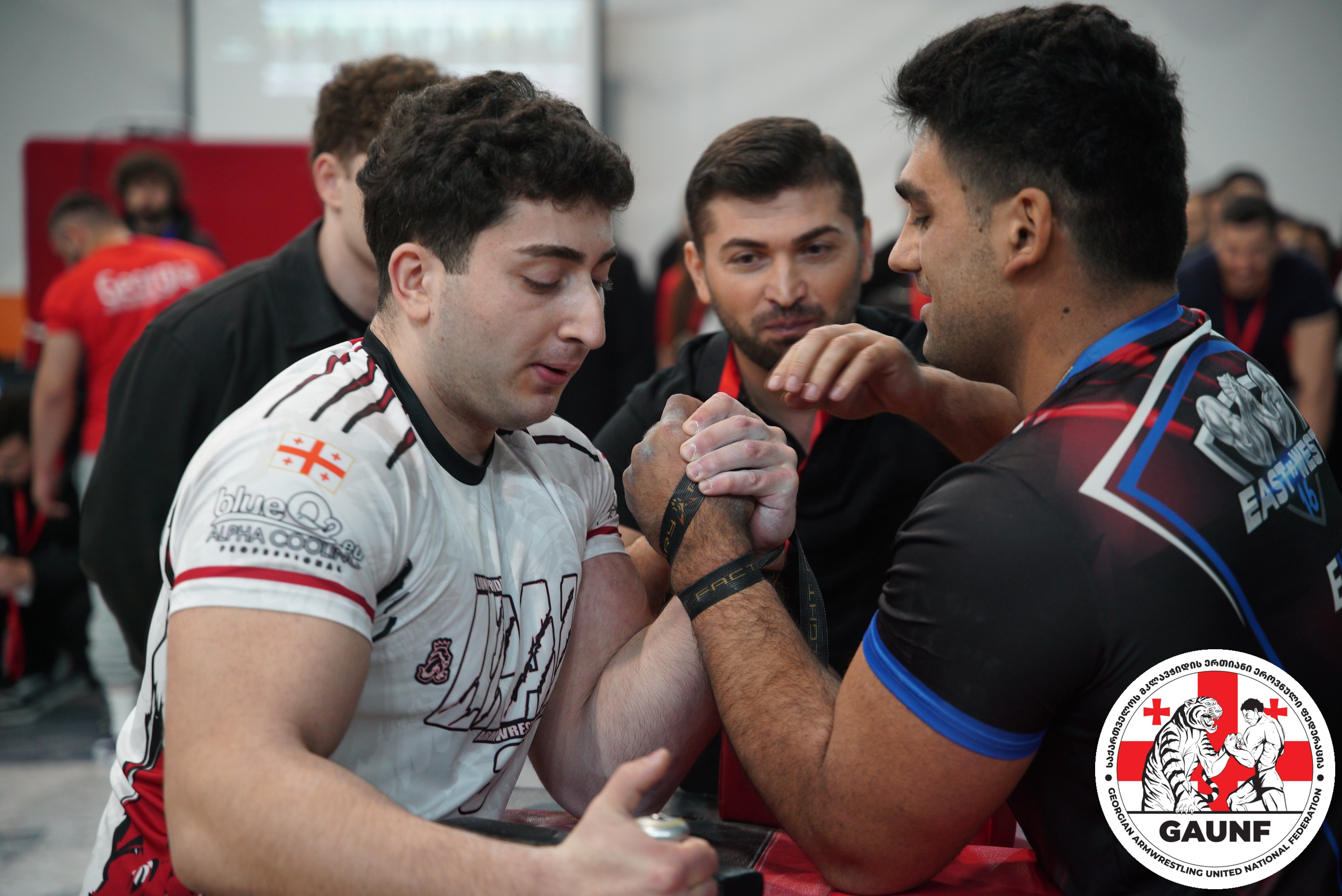 Georgian Armwrestling and Para-Armwrestling Championship 2026