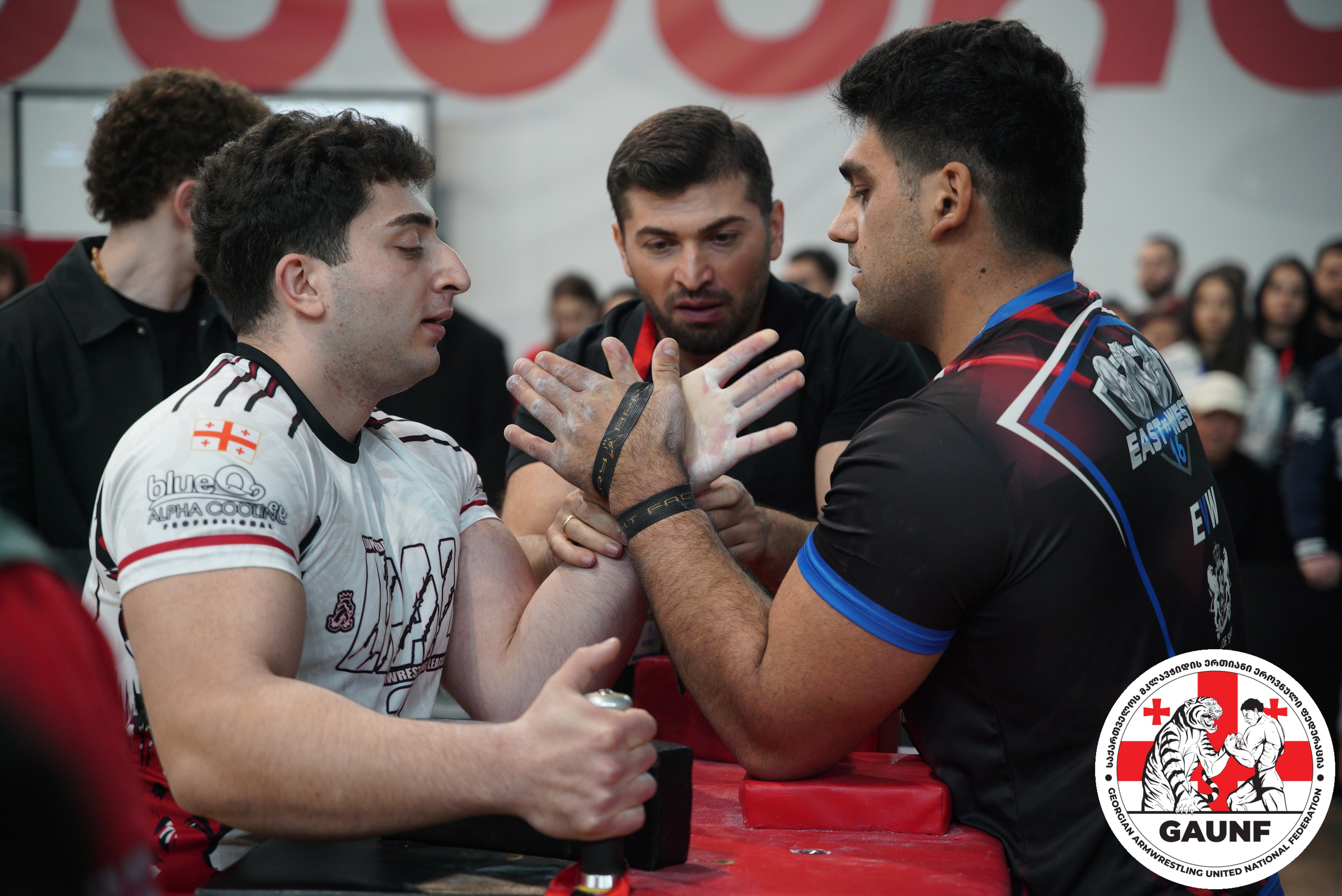 Georgian Armwrestling and Para-Armwrestling Championship 2026